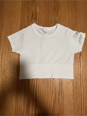 Aerie Offline Seamless Cropped Tee White X-Small| Athleisure